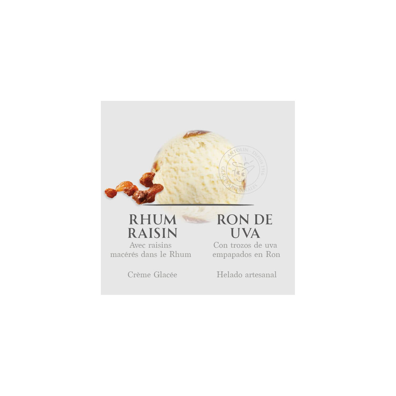 Acheter glace artisanale Rhum Raisin
