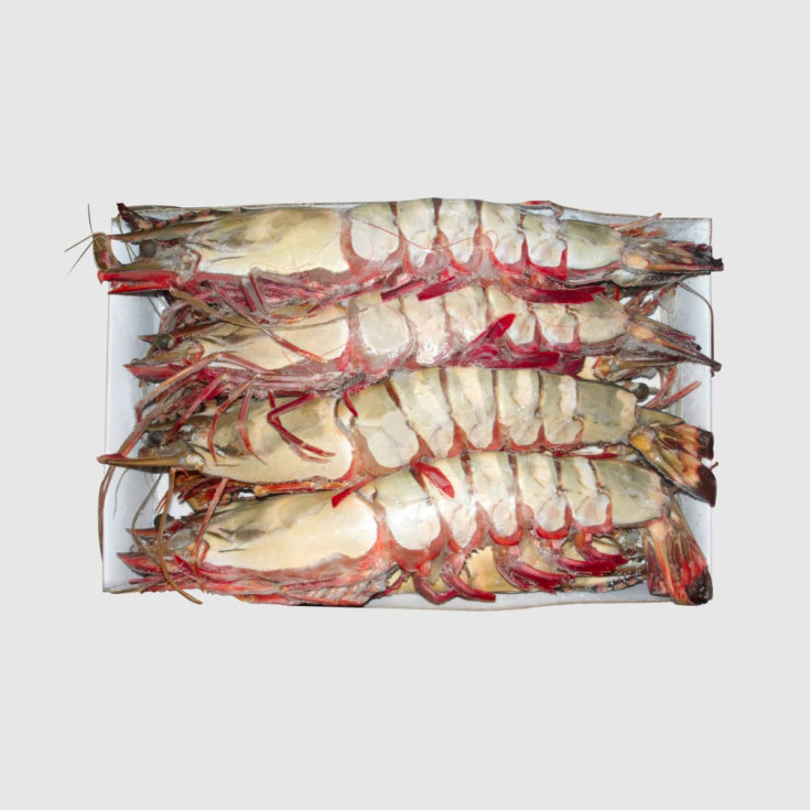 Acheter crevettes sauvages camaron U5.
